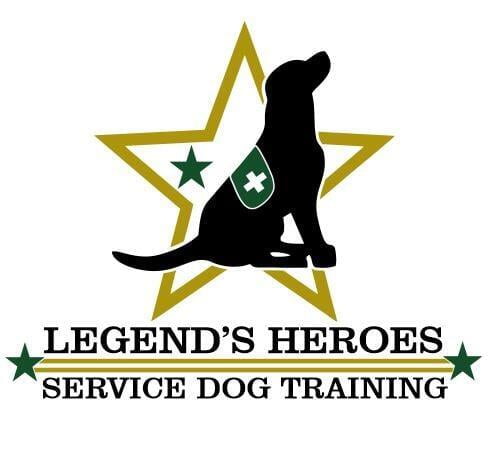 Understanding the Requirements of the Public Access Test for Service Dog Evaluation